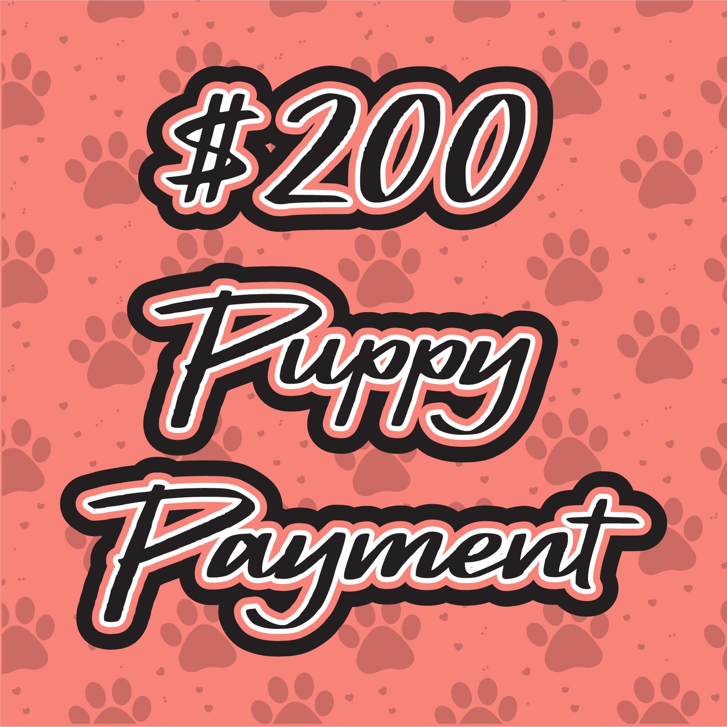 $200 AKC Yorkie Puppy Payment