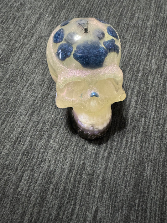 Resin Skull (Multicolor)